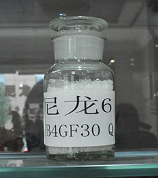 尼龙6 B4GF30